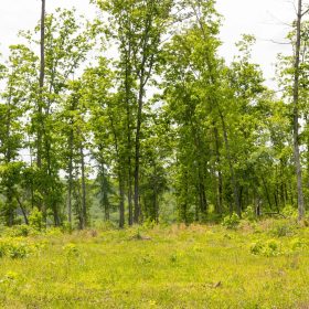 Stardust Estates Tract 12 in Reynolds County, MO