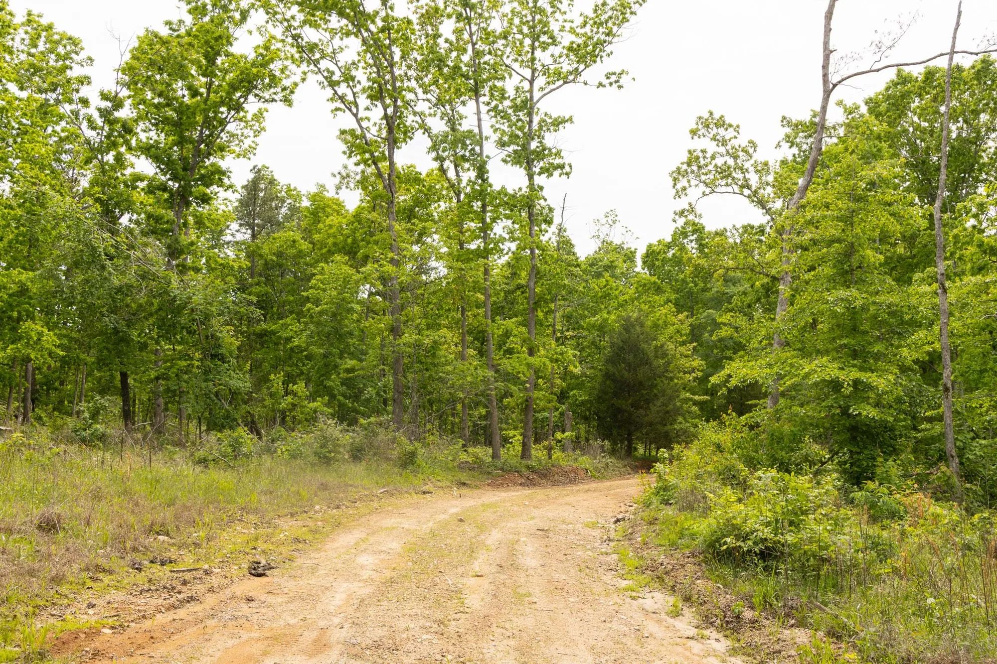 Stardust Estates Tract 9 in Reynolds County, MO