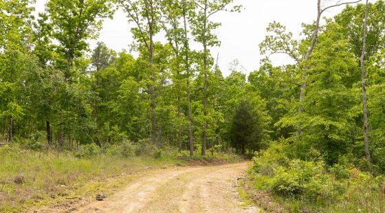 Stardust Estates Tract 9 in Reynolds County, MO