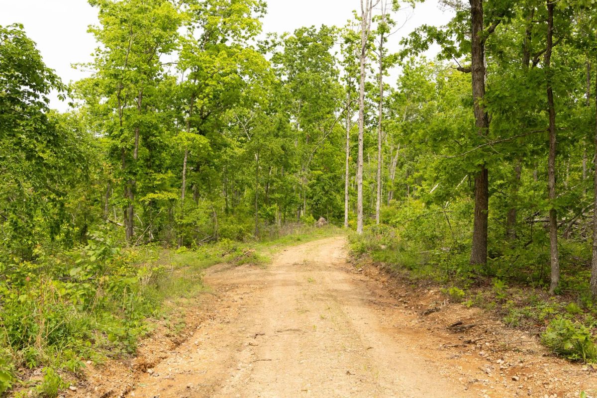 Decorative background for Stardust Estates Tract 9 image 12