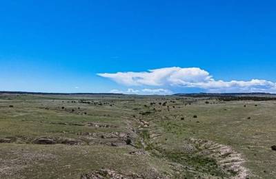 Colorado City Tract 397