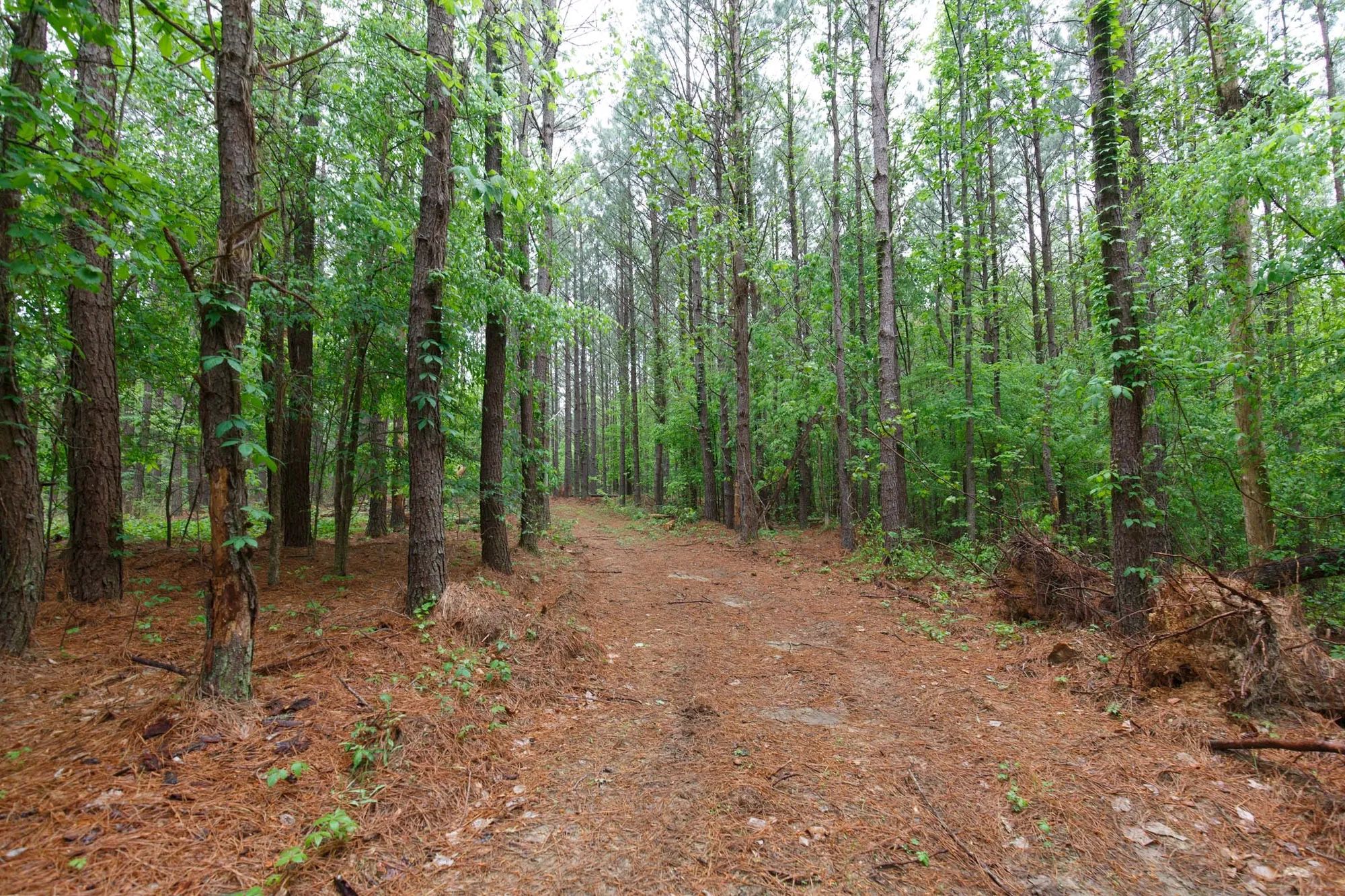 Red Barn Ranch Tract 27