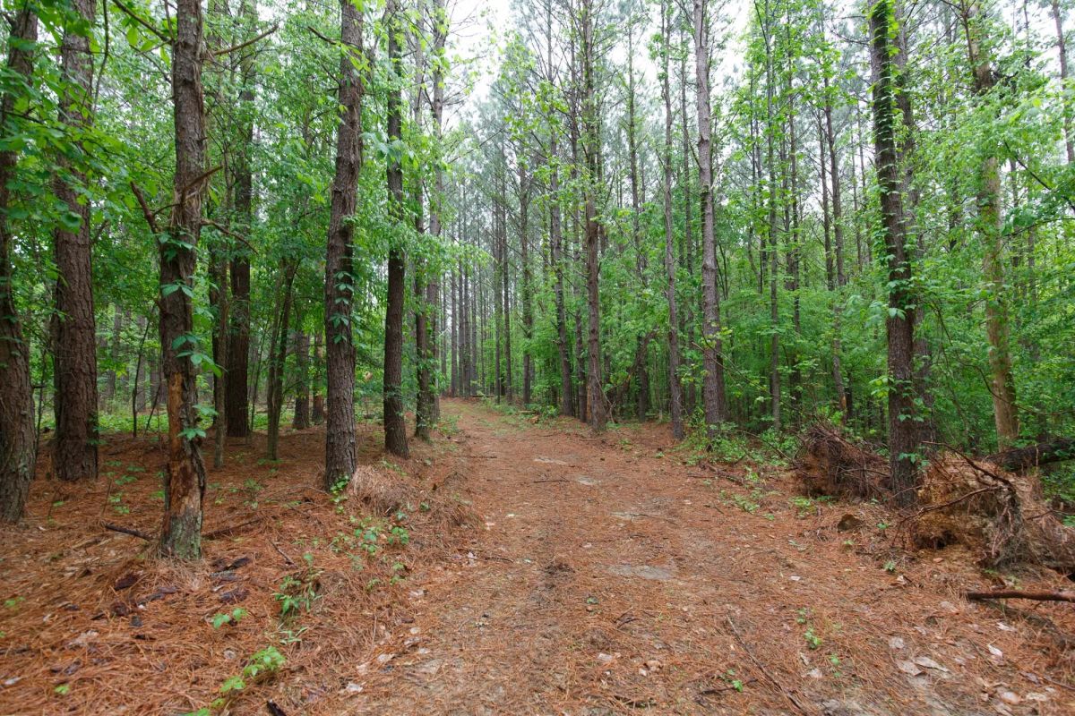 Red Barn Ranch Tract 27 - Main image