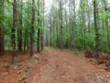 Red Barn Ranch Tract 27