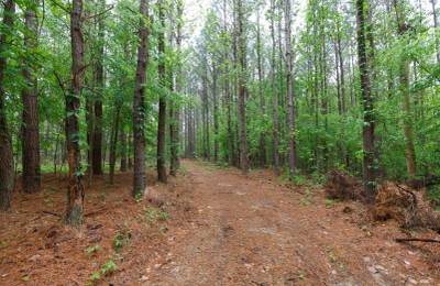 Red Barn Ranch Tract 27