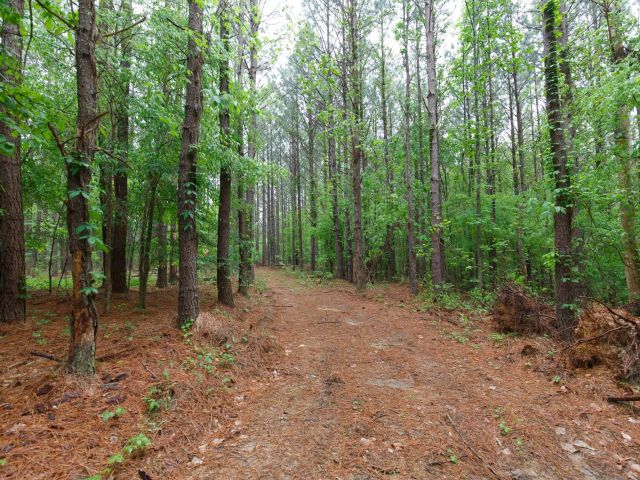 Red Barn Ranch Tract 27 in Benton County, TN