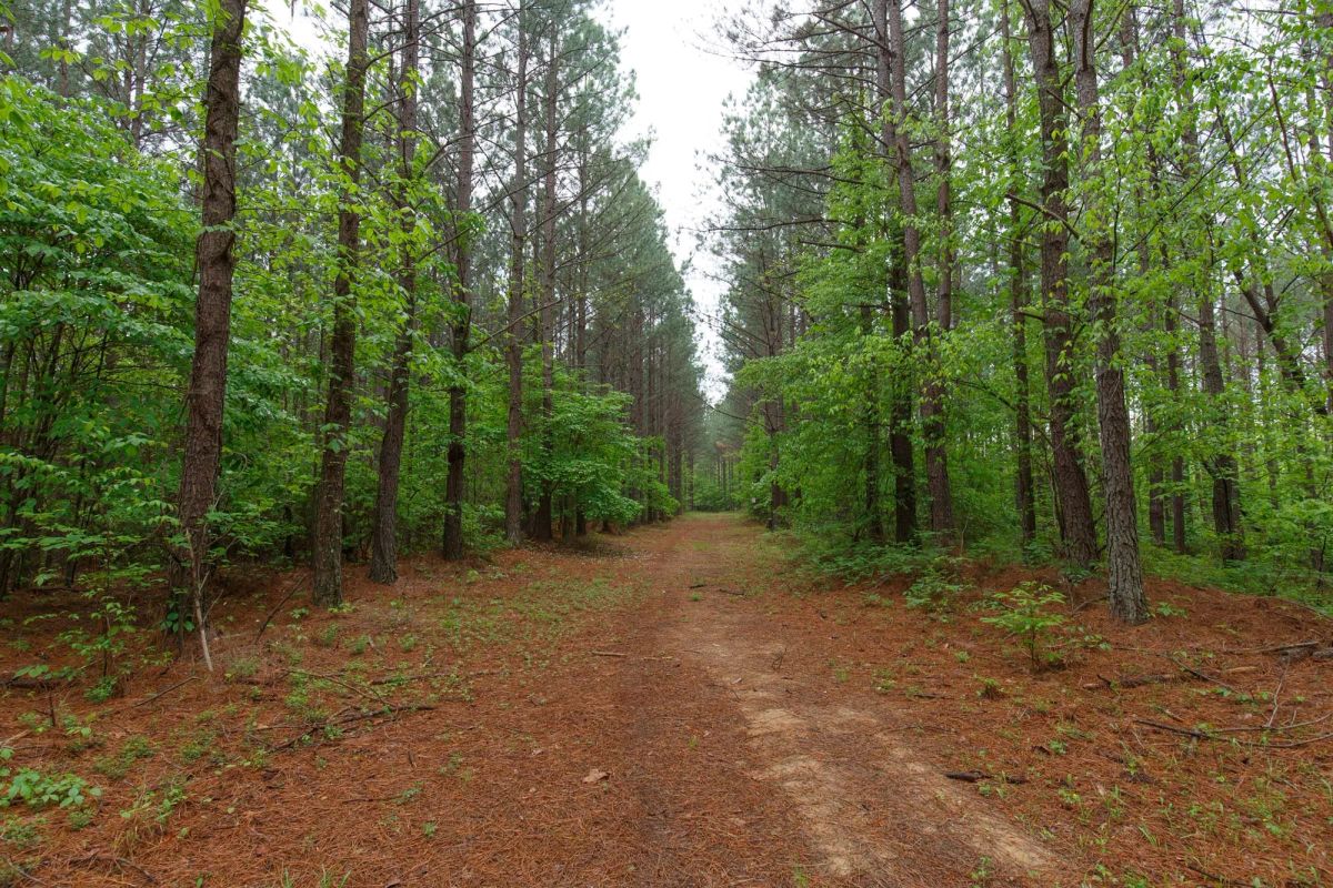 Decorative background for Red Barn Ranch Tract 27 image 8