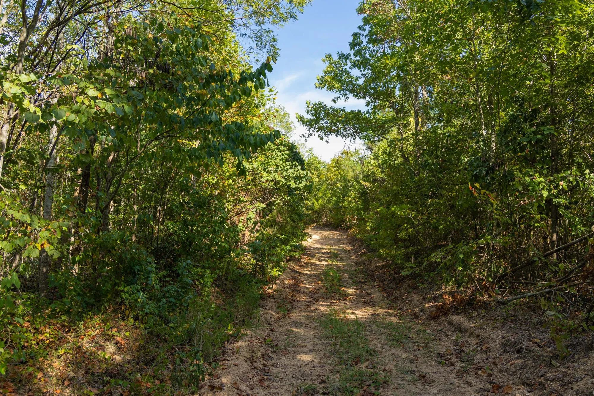 Big White Oak Tract 149 in Perry County, TN