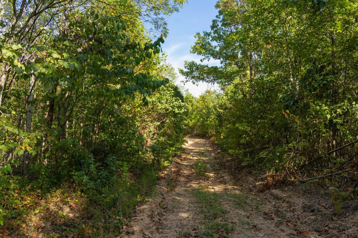Big White Oak Tract 149 - Main image
