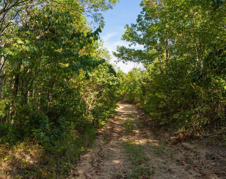 Big White Oak Tract 149 in Perry County, TN