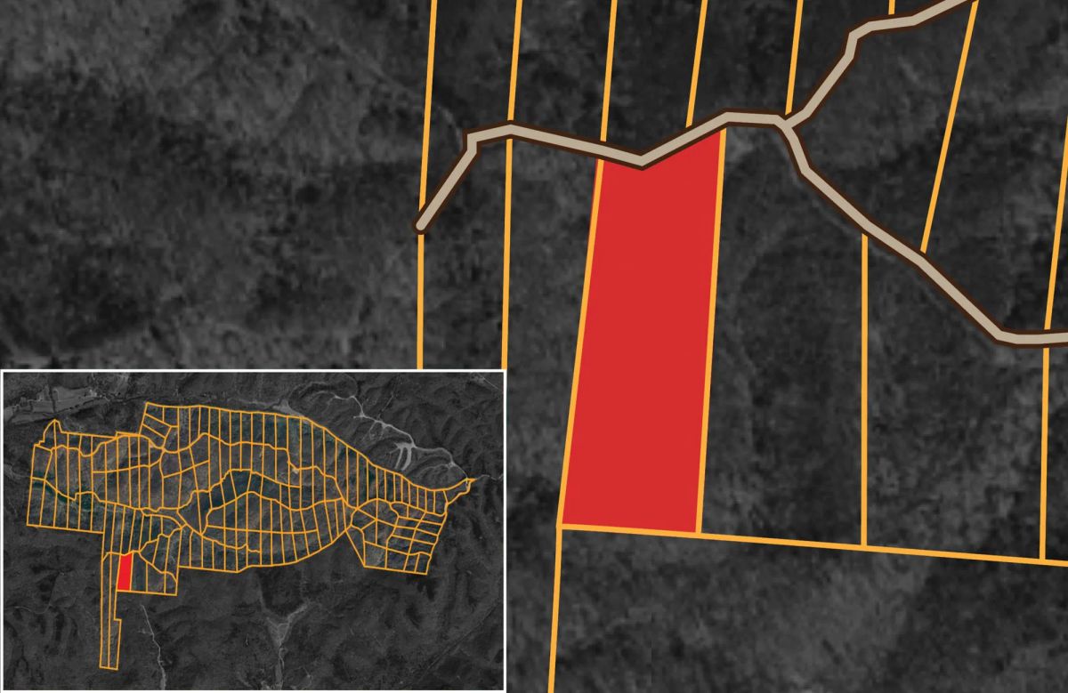 Decorative background for Big White Oak Tract 149 image 22