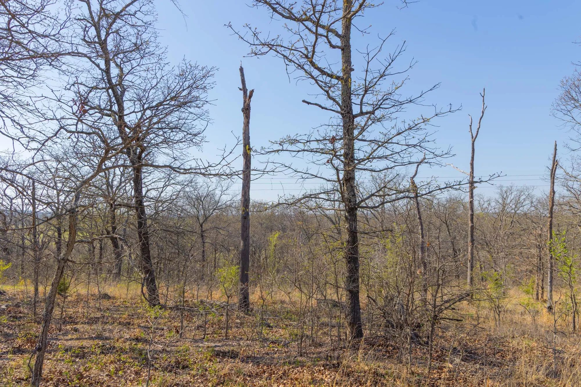 JLH Estates Tract 13 in Okfuskee County, OK