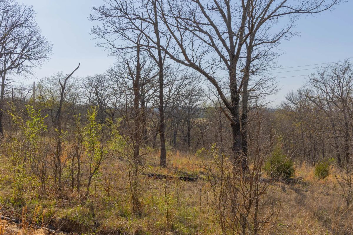 Decorative background for JLH Estates Tract 13 image 8