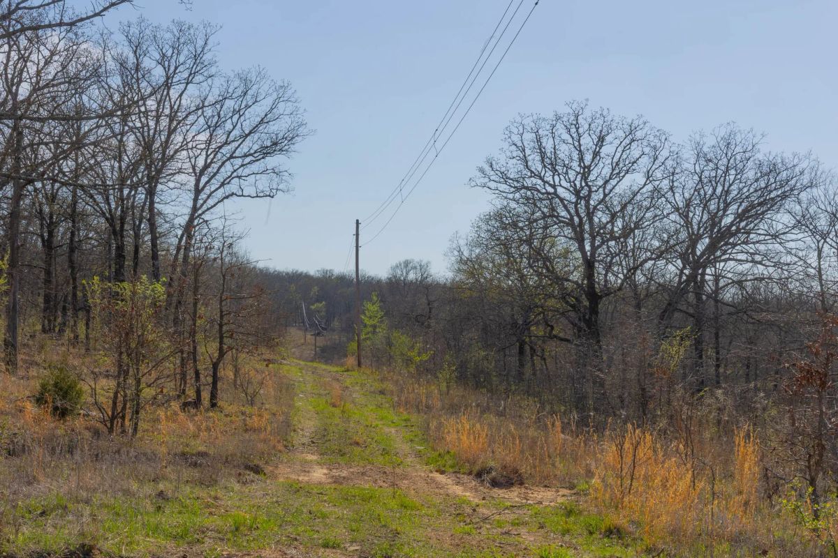 Decorative background for JLH Estates Tract 13 image 10