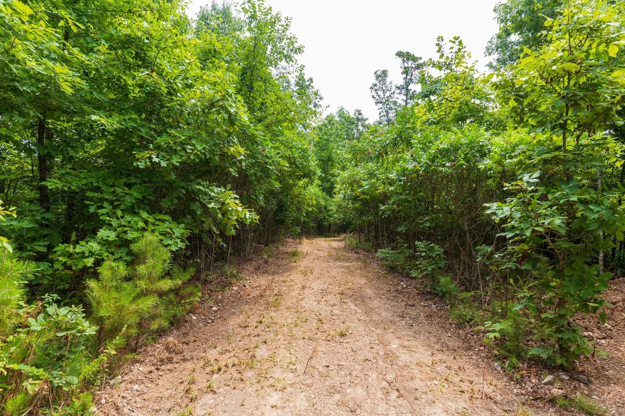 Cypress Ridge Tract 21 in Reynolds County, MO