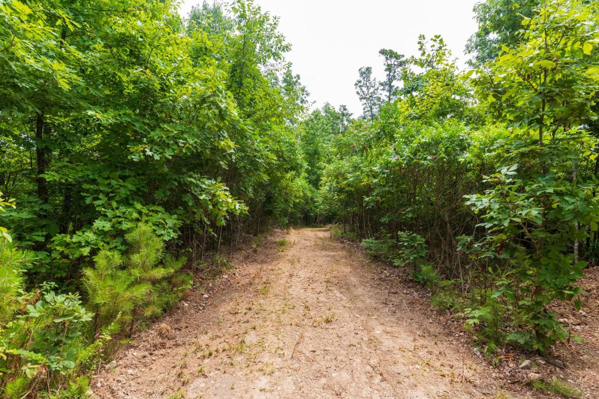 Cypress Ridge Tract 21 - Main image