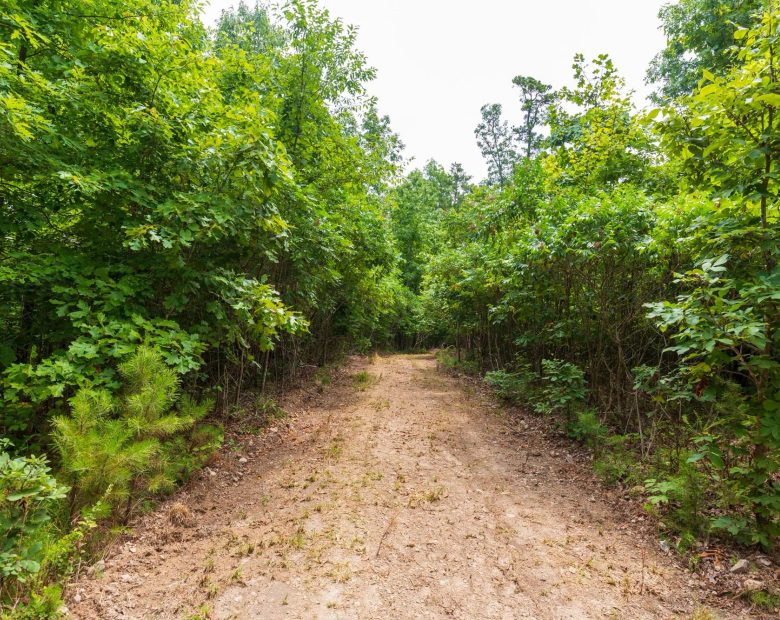 Cypress Ridge Tract 21 in Reynolds County, MO