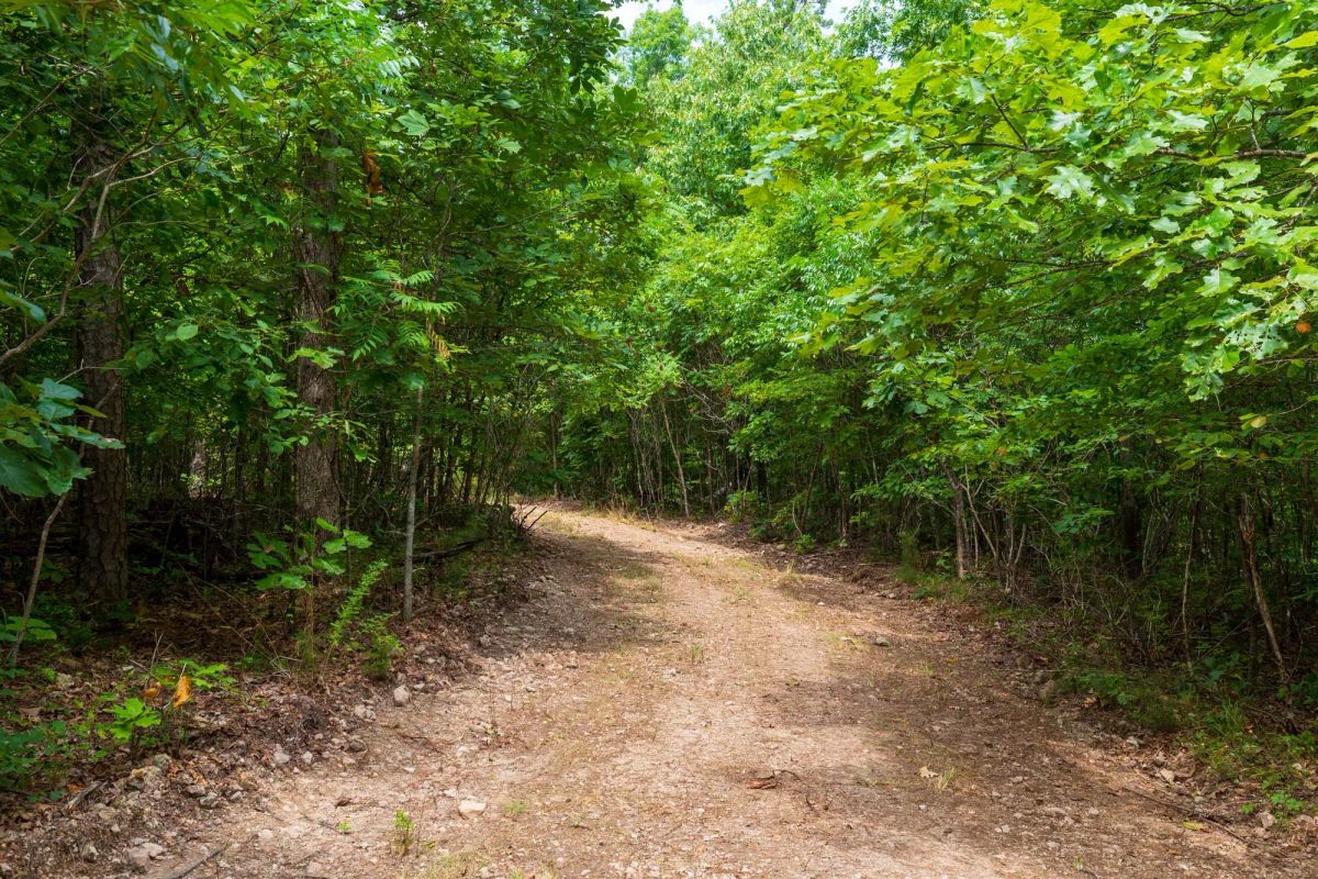 Decorative background for Cypress Ridge Tract 21 image 8