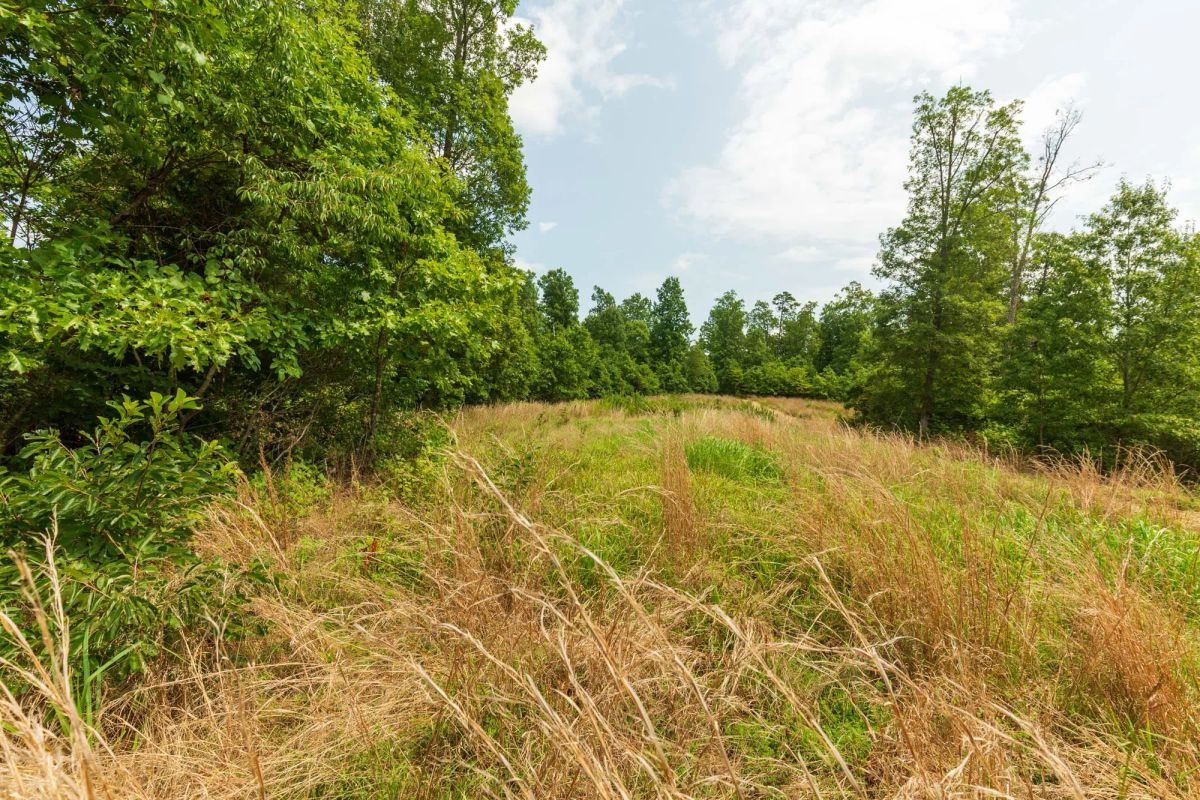 Decorative background for Cypress Ridge Tract 21 image 16