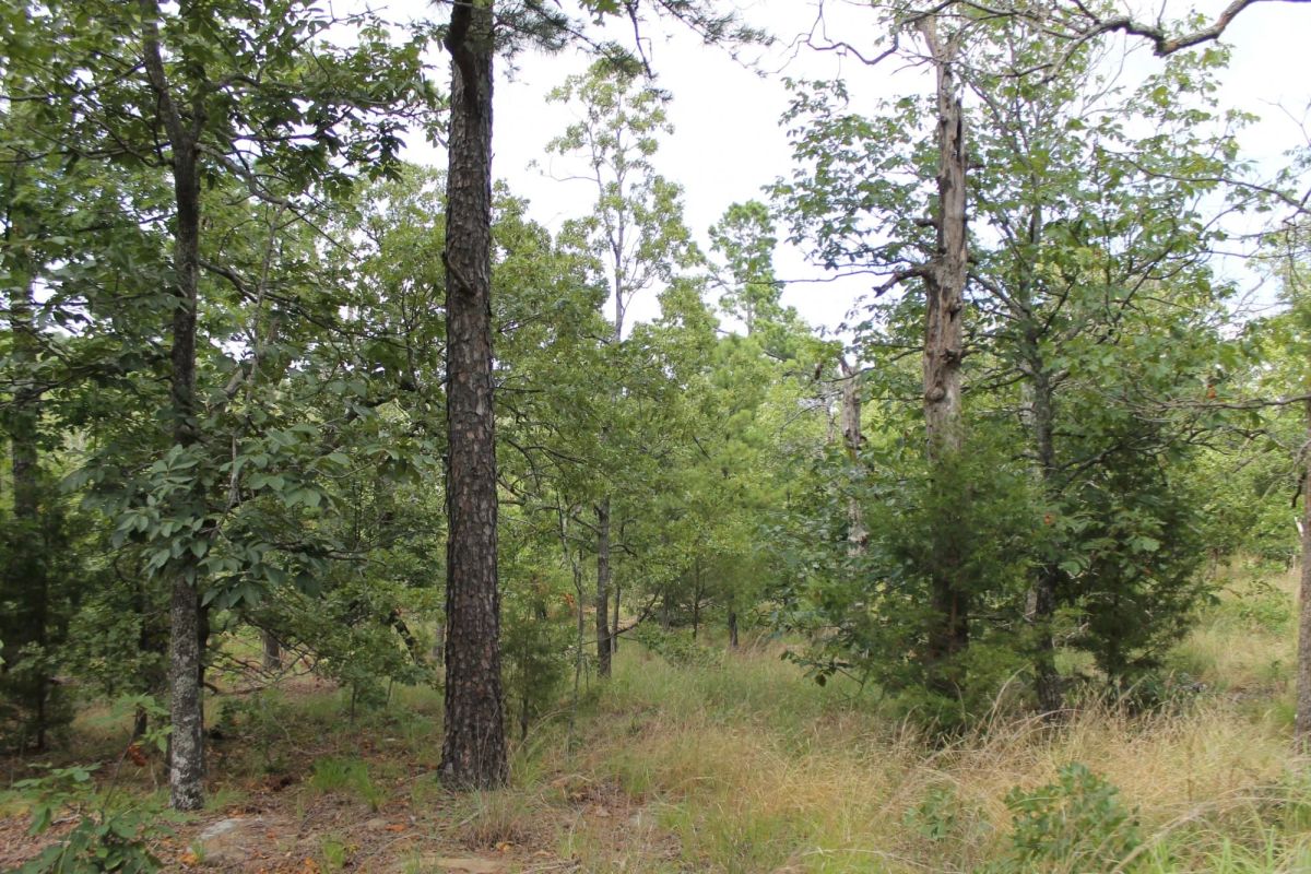 Trophy Ridge Phase III Tract 10 - Main image