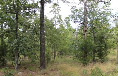 Trophy Ridge Phase III Tract 10