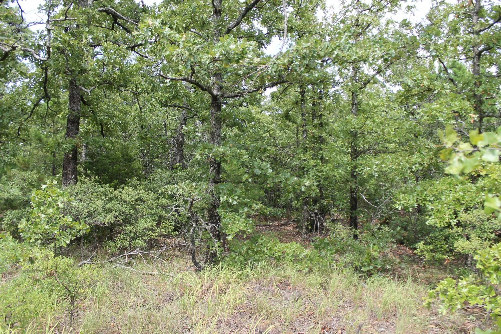 Trophy Ridge Phase III Tract 10 in Pushmataha County, OK