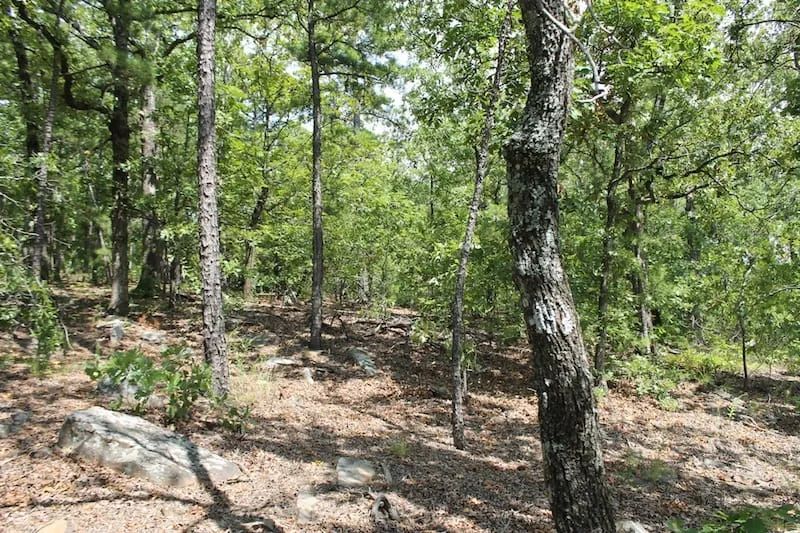Decorative background for Trophy Ridge Phase III Tract 10 image 7