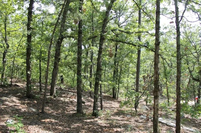 Decorative background for Trophy Ridge Phase III Tract 10 image 8