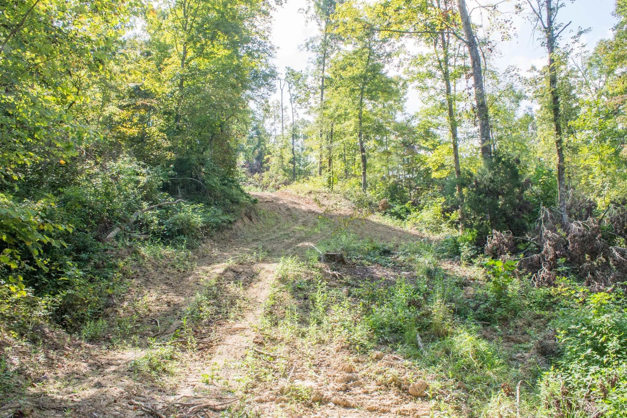 Buck Run Ridge Tract 17 in Wayne County, KY