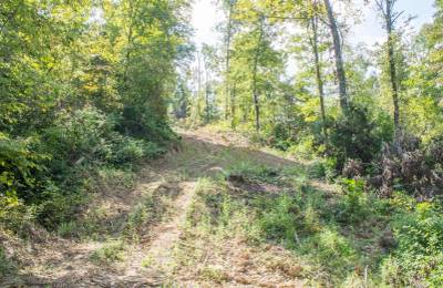 Buck Run Ridge Tract 17