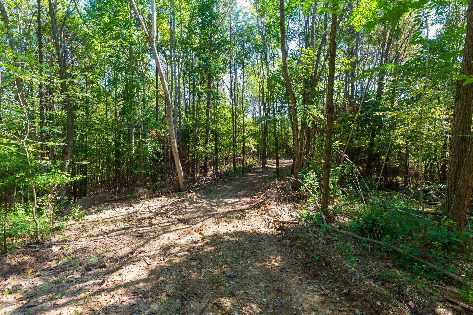 Redemption Ridge Tract 12 in Wayne County, TN
