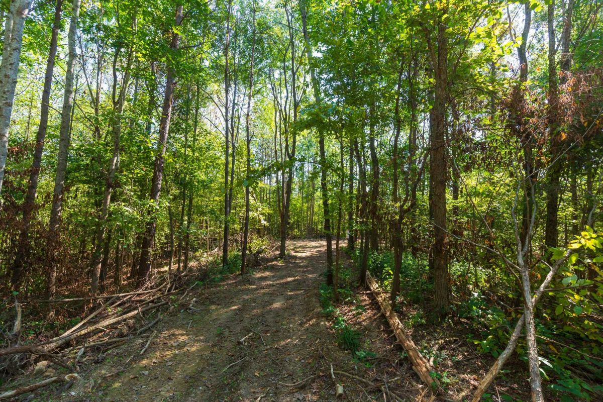 Decorative background for Redemption Ridge Tract 12 image 5