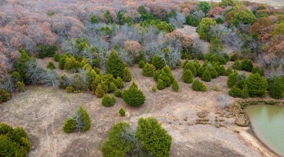 Crystal Springs Tract 4 in McIntosh County, OK