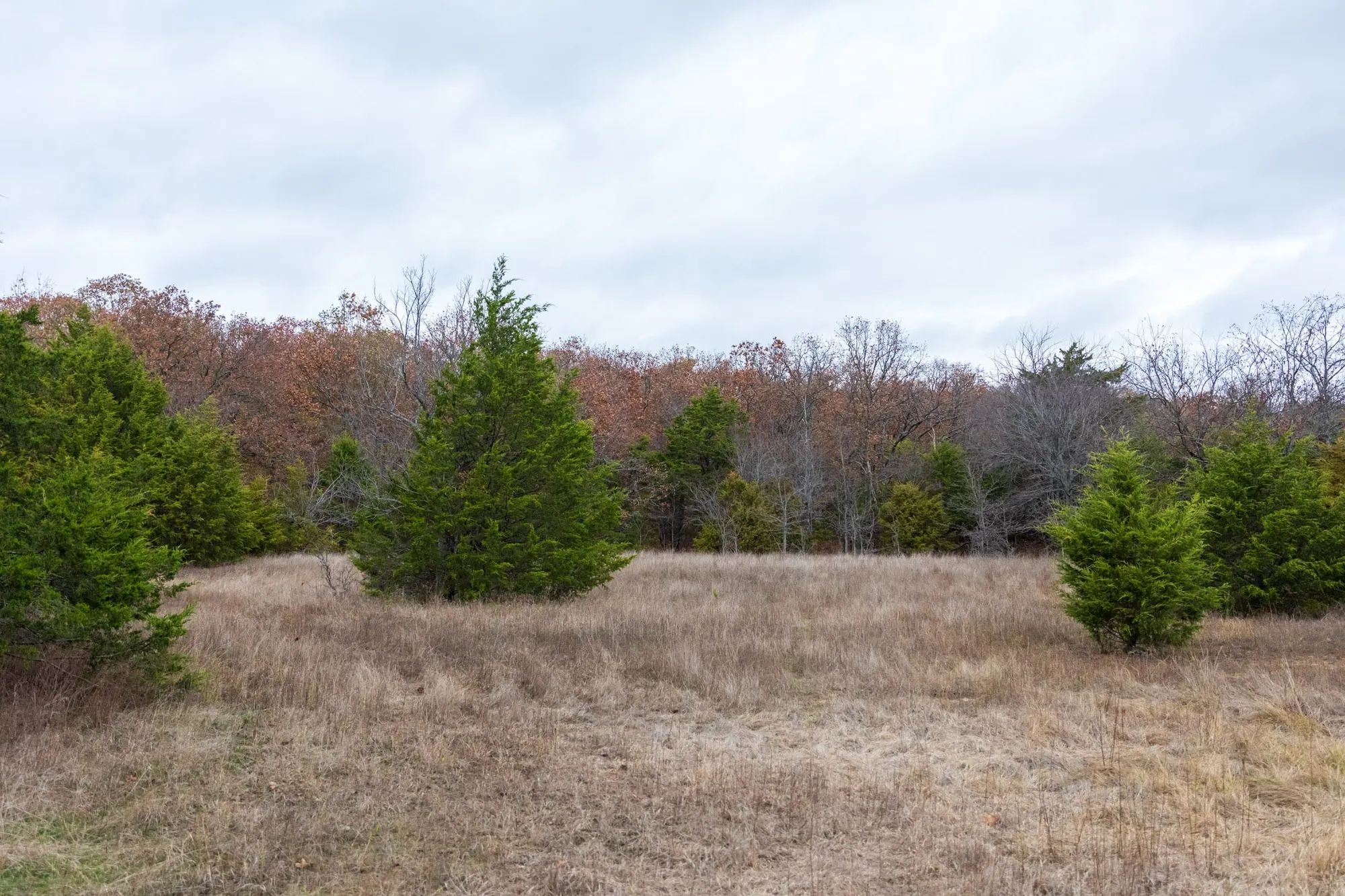 Crystal Springs Tract 4 in McIntosh County, OK