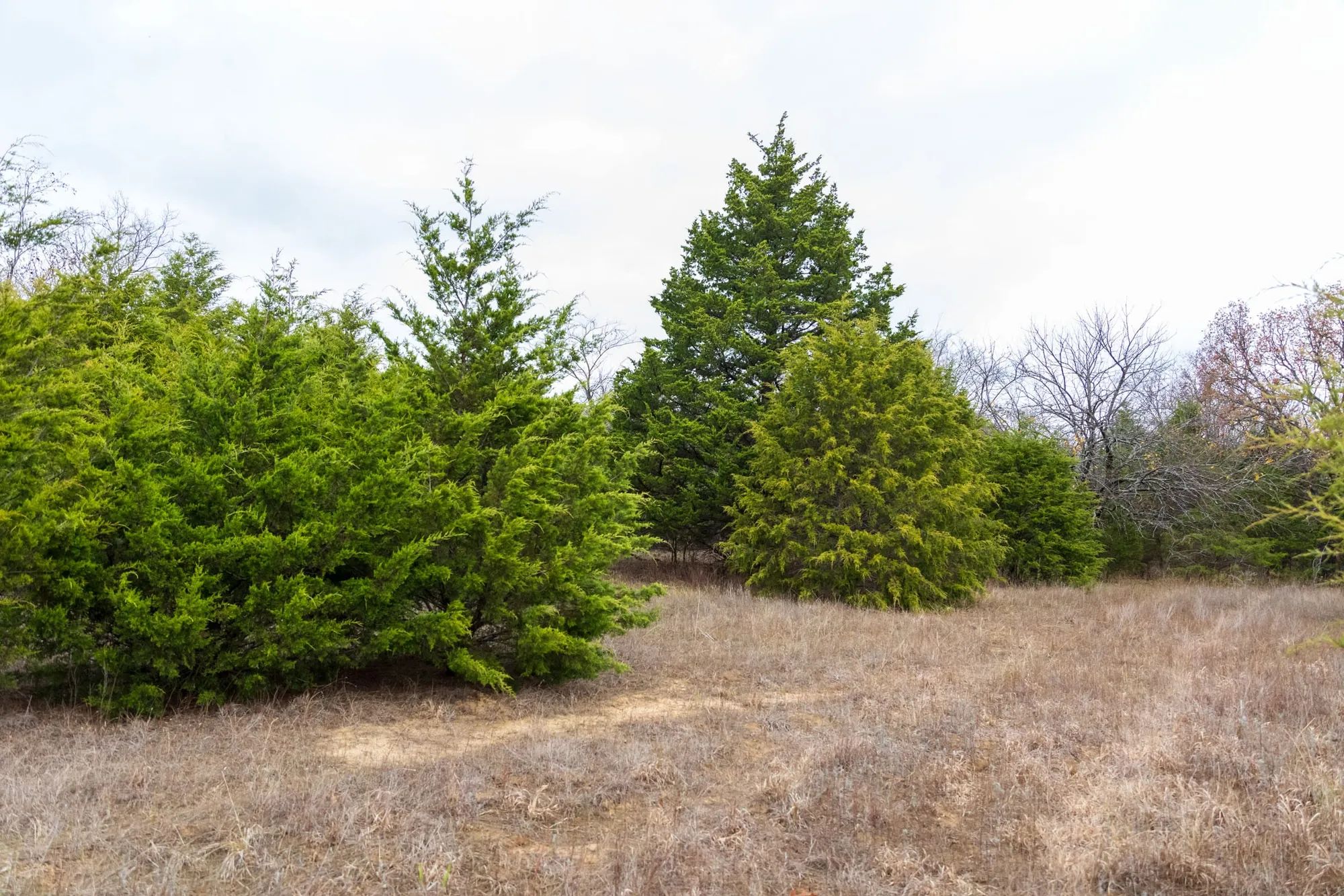 Crystal Springs Tract 4 in McIntosh County, OK