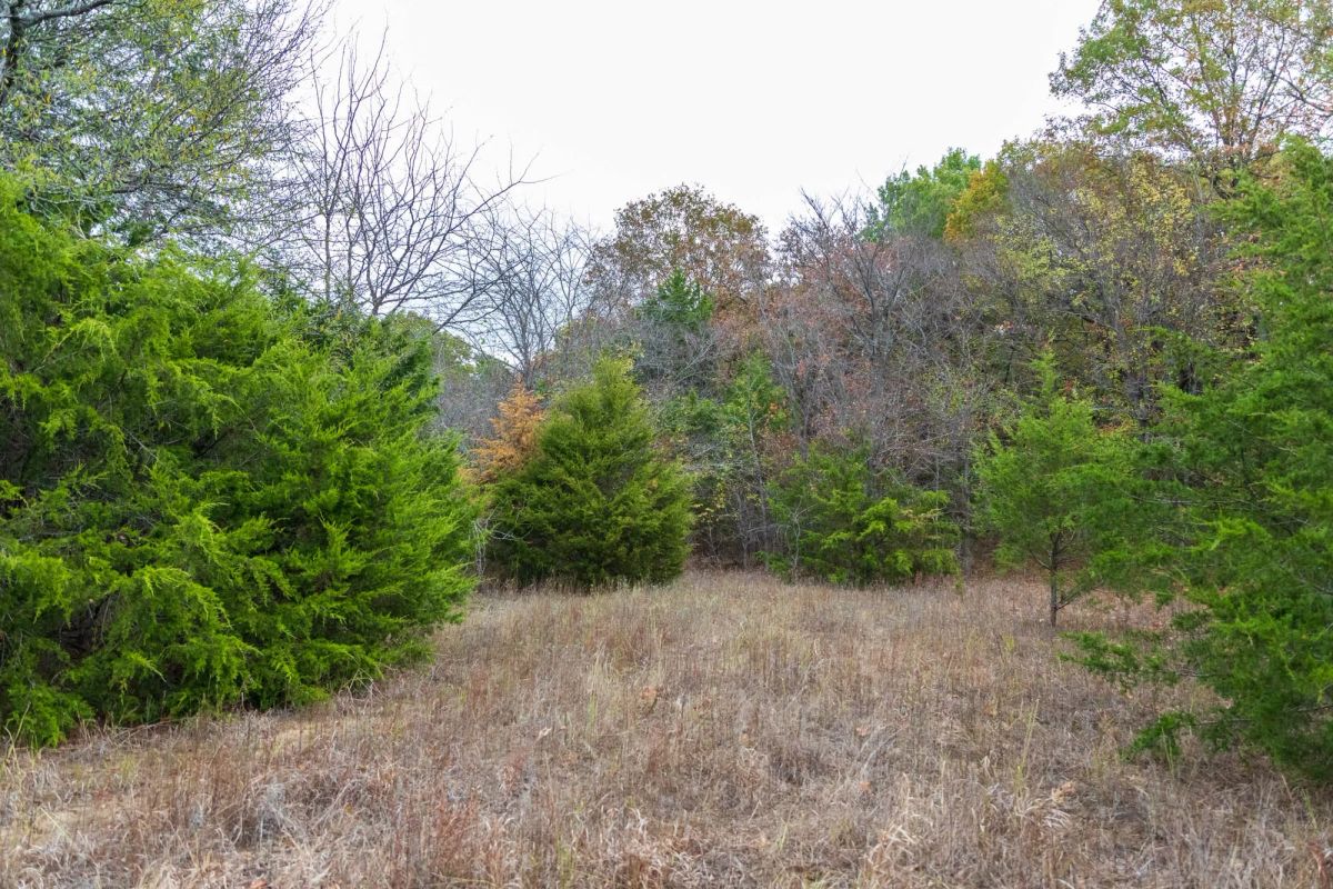 Decorative background for Crystal Springs Tract 4 image 6