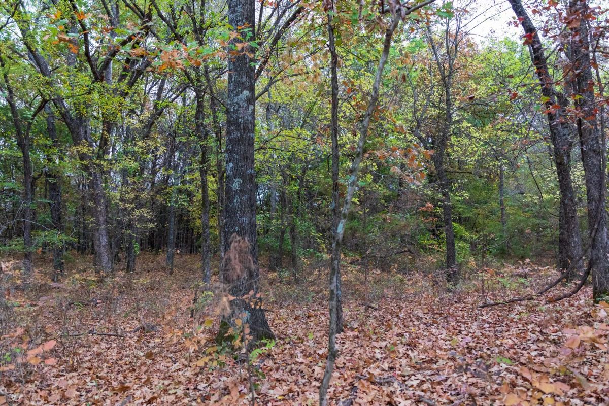 Decorative background for Crystal Springs Tract 4 image 7