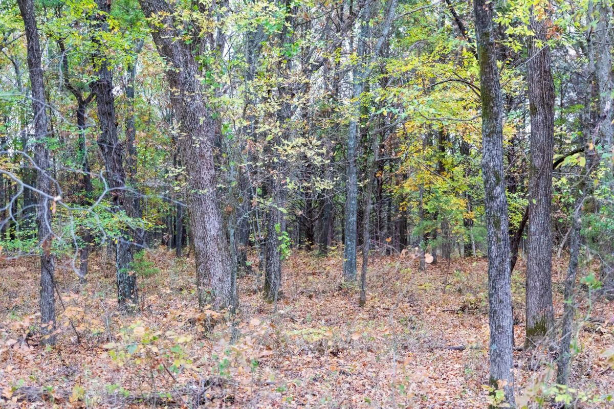 Decorative background for Crystal Springs Tract 4 image 8
