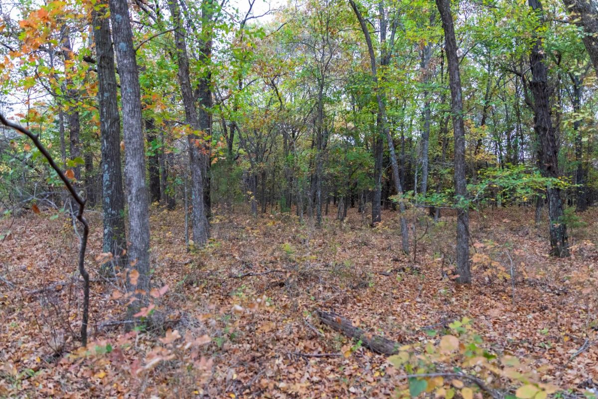 Decorative background for Crystal Springs Tract 4 image 9