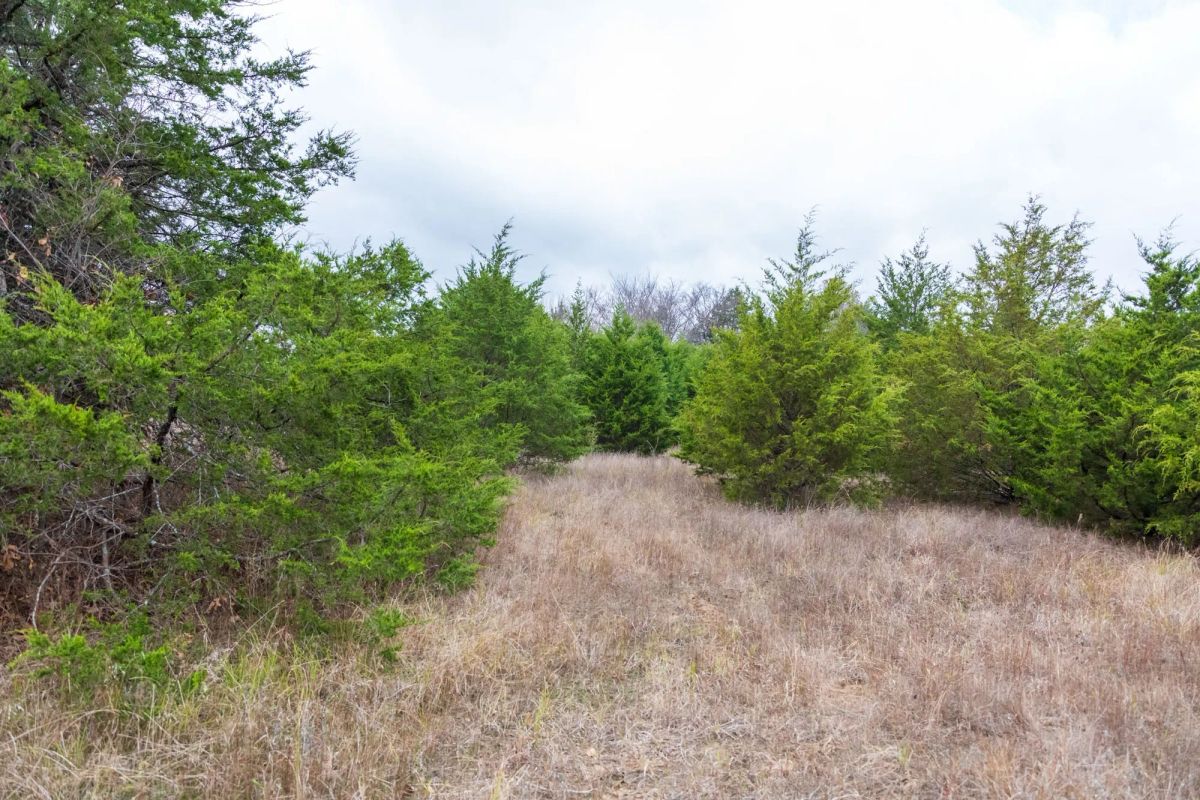 Decorative background for Crystal Springs Tract 4 image 15