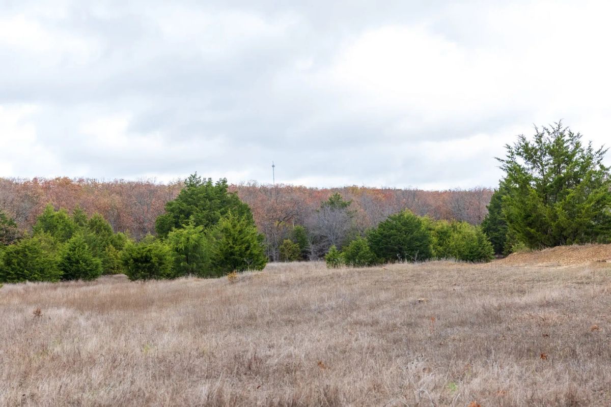 Decorative background for Crystal Springs Tract 4 image 16