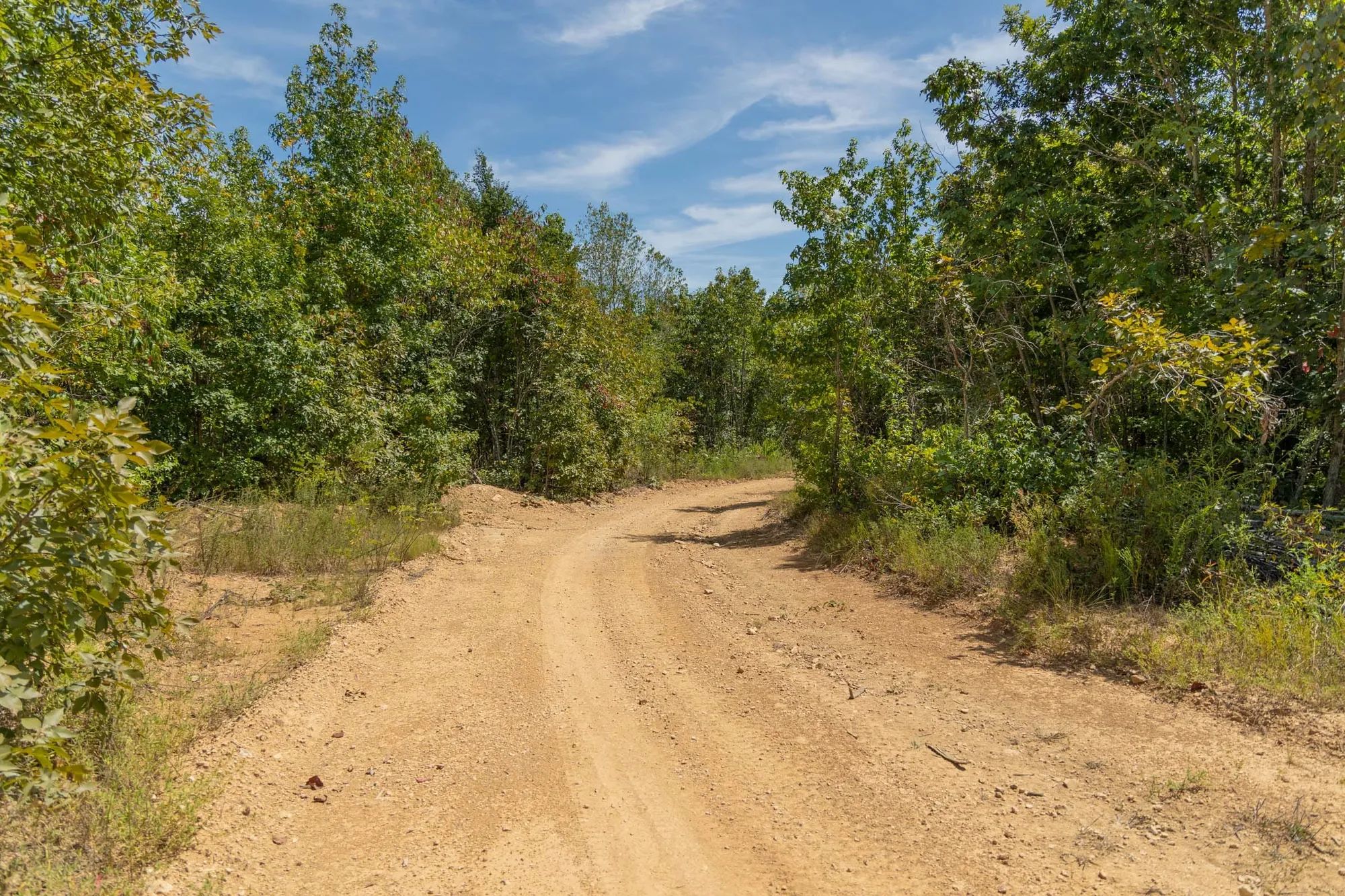 Big White Oak Tract 57