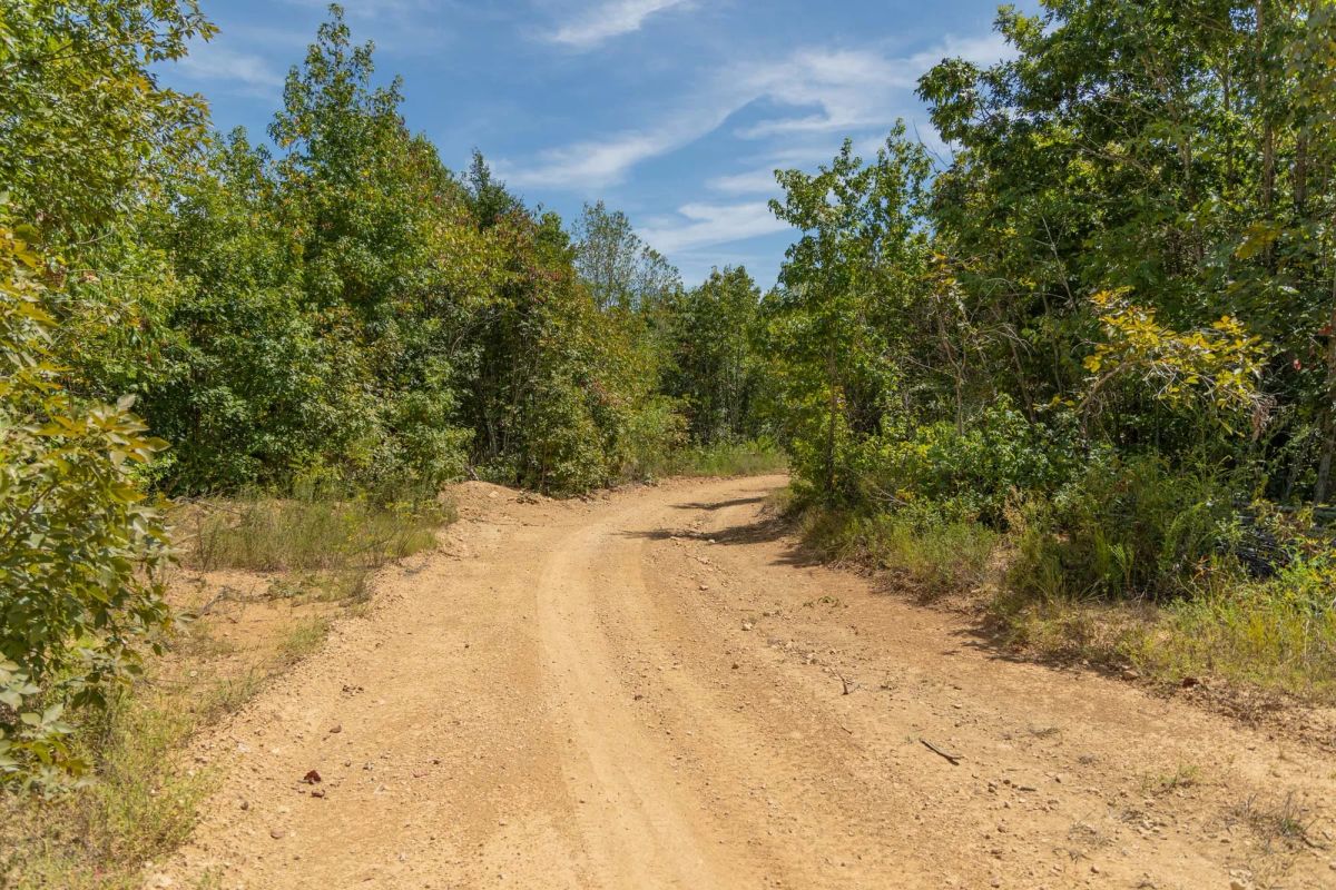 Big White Oak Tract 57 - Main image