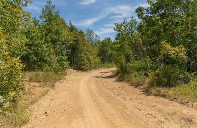 Big White Oak Tract 57