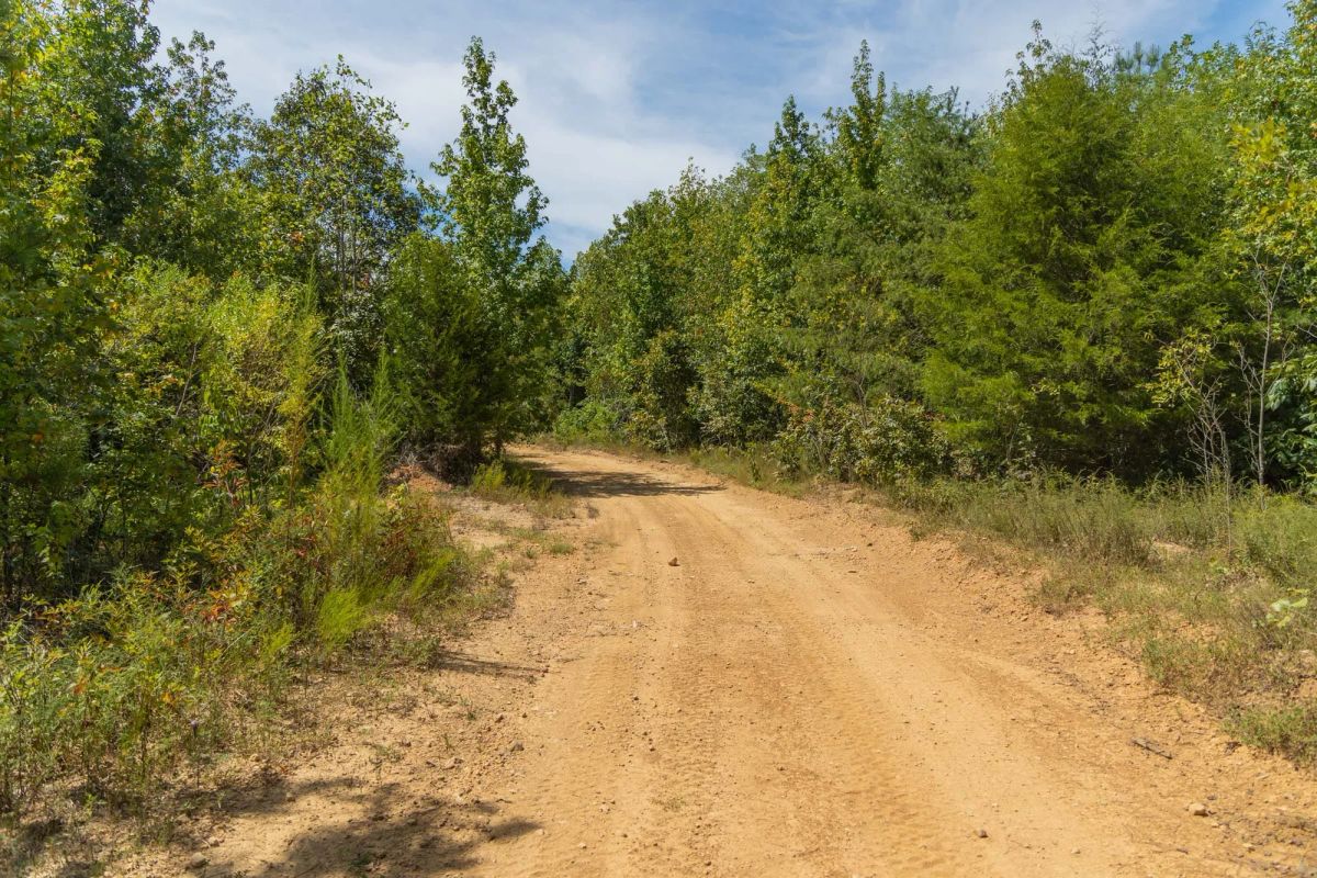 Big White Oak Tract 57 - Image 4