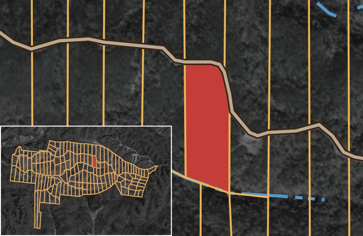 Decorative background for Big White Oak Tract 57 image 11