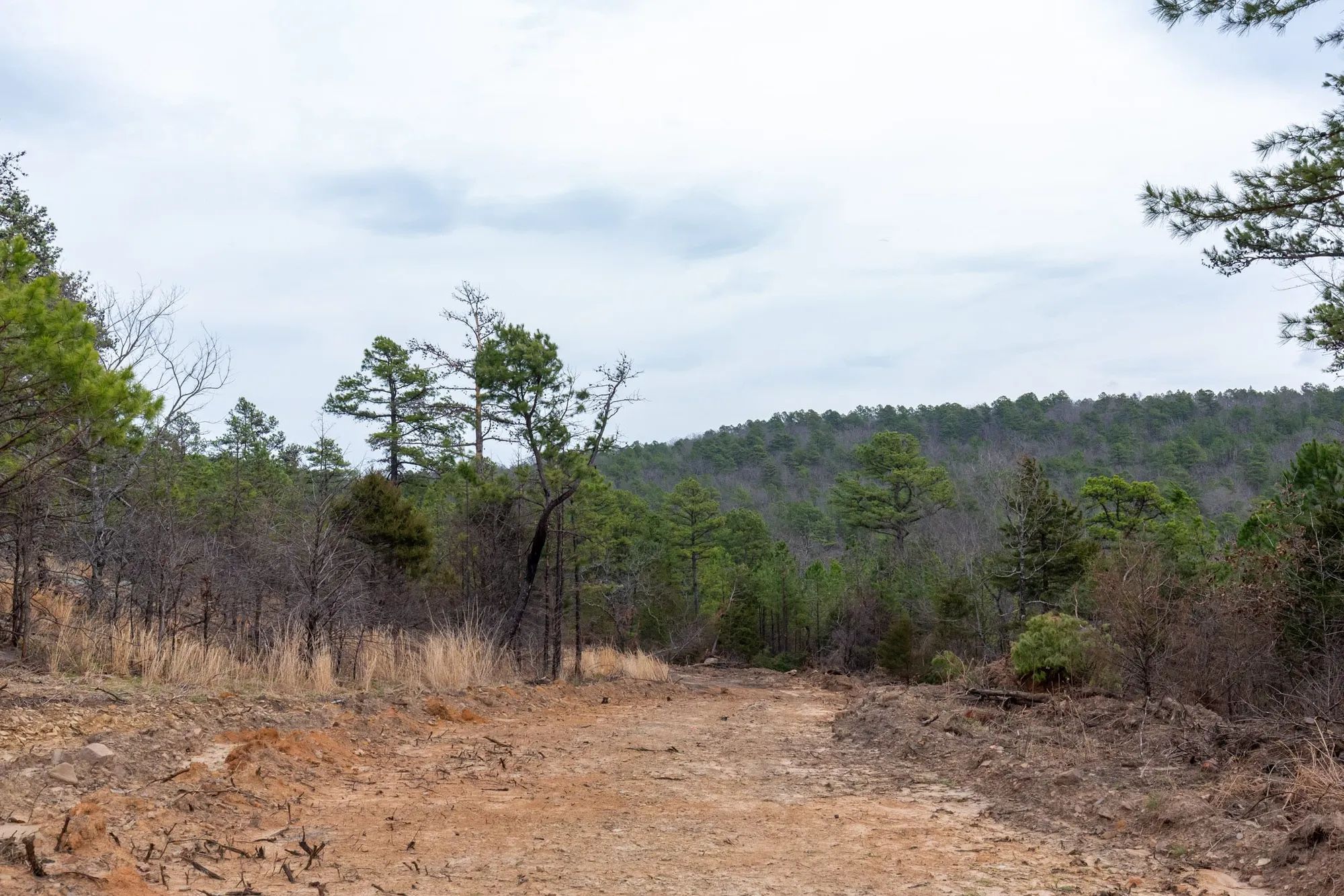 Stone Bridge Phase III Tract 137 in Latimer County, OK