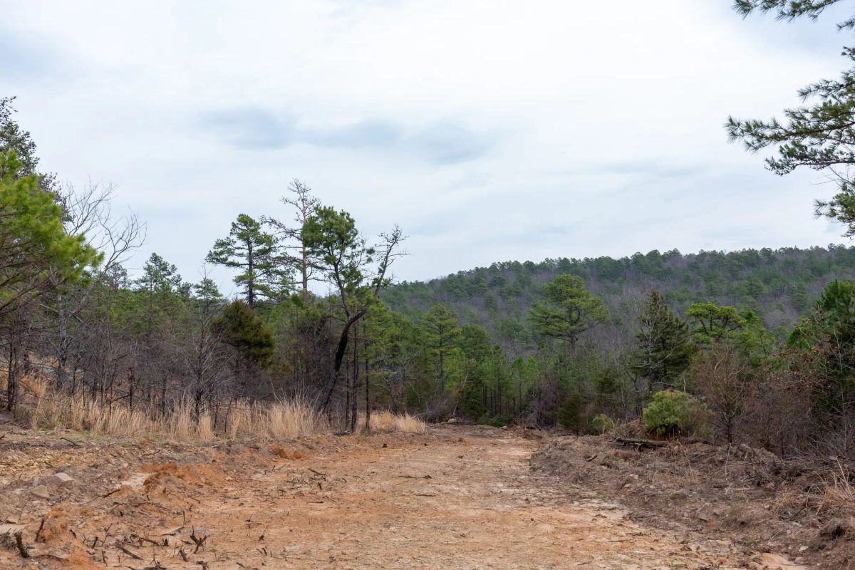Stone Bridge Phase III Tract 137 - Main image