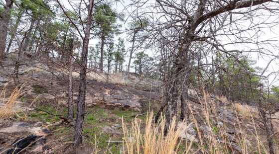 Stone Bridge Phase III Tract 137 in Latimer County, OK