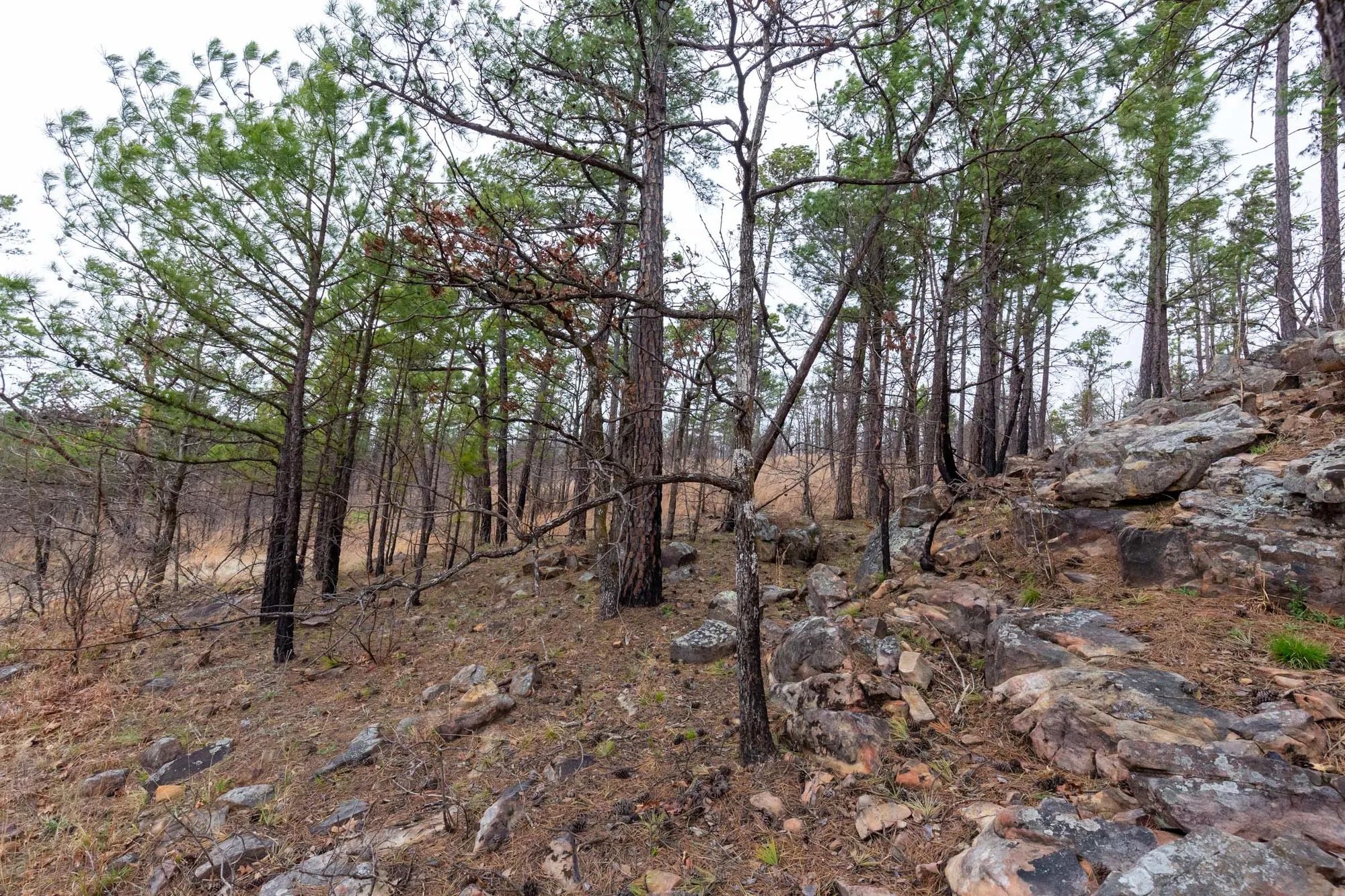 Stone Bridge Phase III Tract 137 in Latimer County, OK
